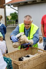 Beringung Störche in Jagsthausen