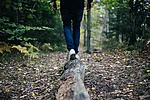 Person läuft über einen Baumstamm im Wald 